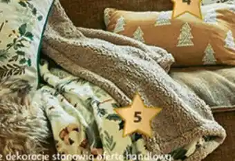 Auchan Koc ze wzorem oferta