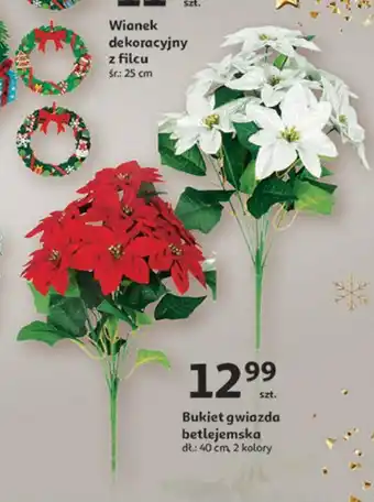 Bukiet gwiazda betlejemska
