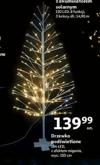 Auchan Drzewko podświetlane oferta