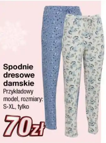 KiK Spodnie dresowe damskie oferta