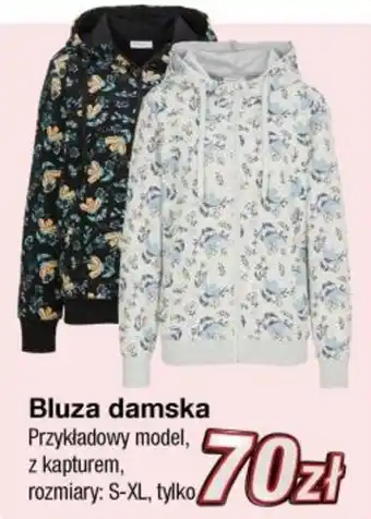 KiK Bluza damska oferta