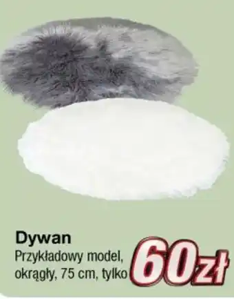 KiK Dywan oferta