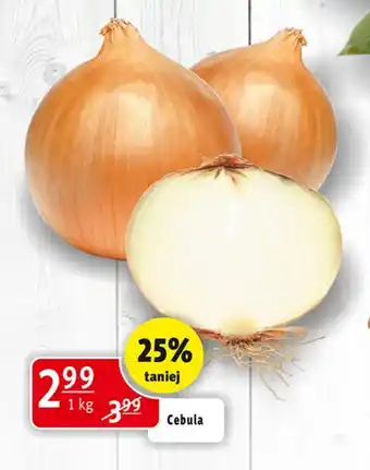 Prim Market Cebula oferta