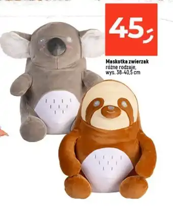 Dealz Maskotka oferta