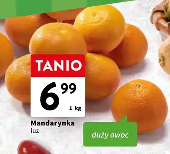 Intermarche Mandarynka 1 kg oferta
