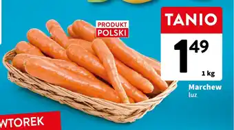 Intermarche Marchew luz 1 kg oferta