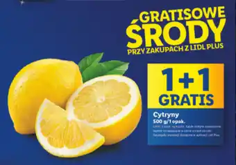 Lidl Cytryny 500 g oferta
