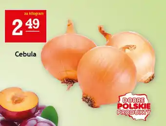 Gram Market Cebula 1kg oferta