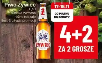 Delikatesy Centrum Piwo Żywiec 0,5 l oferta