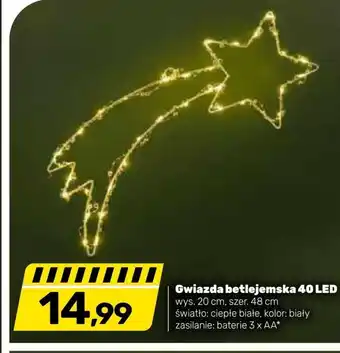 Bricomarche Gwiazda betlejemska oferta