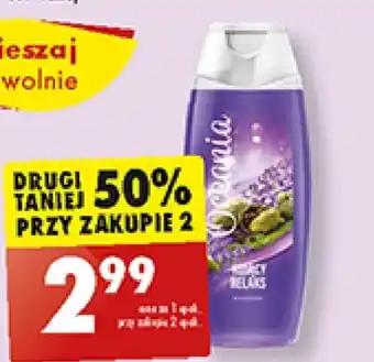 Biedronka Żel pod prysznic oceania oferta