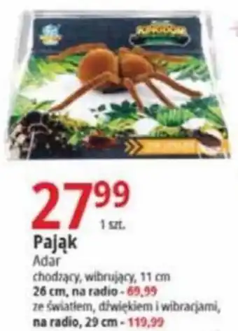E.Leclerc Pająk oferta