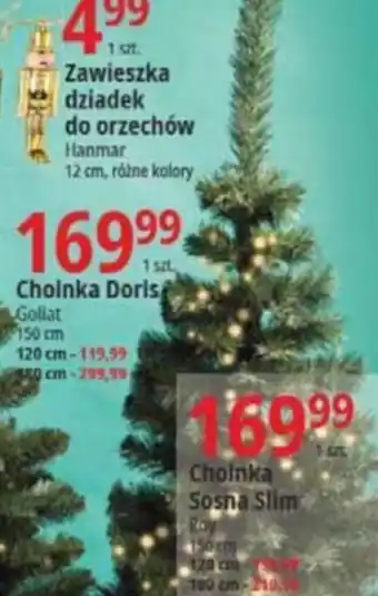 E.Leclerc Choinka Doris oferta