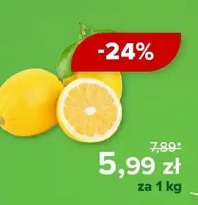 Barbora Cytryna oferta
