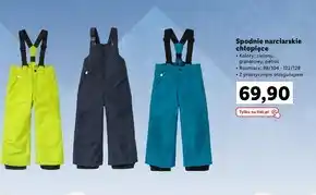 Lidl Spodnie narciarskie oferta