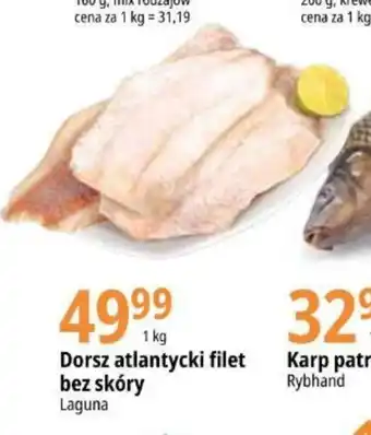 E.Leclerc Dorsz atlantycki filet bez skóry 1 kg oferta