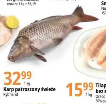 E.Leclerc Karp patroszony świeże 1 kg oferta