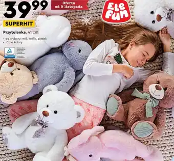 Biedronka Przytulanka oferta
