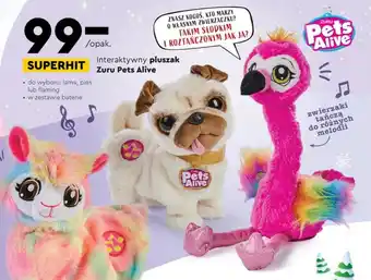 Biedronka Pluszak oferta