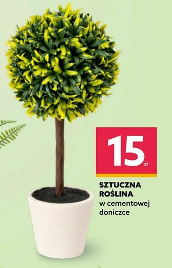 Dealz Sztuczna roślina oferta