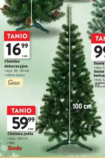 Intermarche Choinka jodła wys. 100 cm oferta