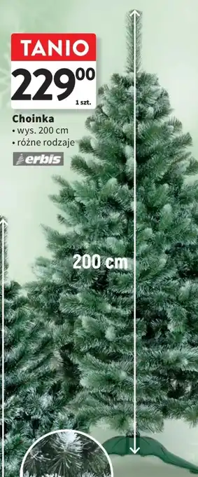 Intermarche Choinka Choinka wys. 200 cm oferta
