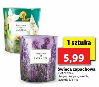 Lidl Świeca zapachowa oferta