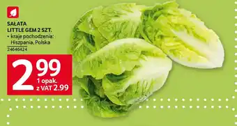 Selgros Sałata 2 szt. oferta