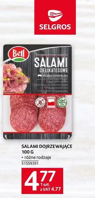 Selgros Salami dojrzewające 100 g oferta
