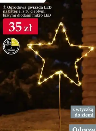 Gwiazda led