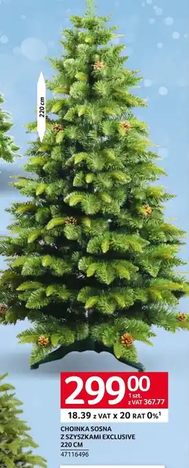 Selgros Choinka oferta