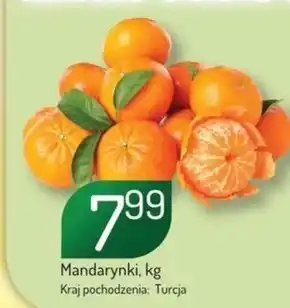 Avita Mandarynki oferta