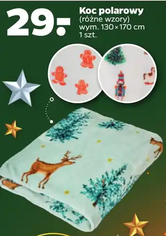 Netto Koc oferta
