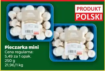 Netto Pieczarka mini oferta