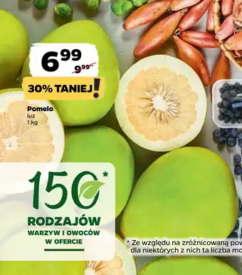 Netto Pomelo oferta