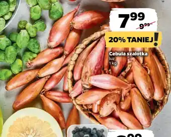 Netto Cebula szalotka oferta