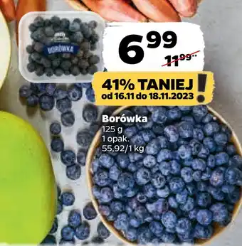 Netto Borówka oferta