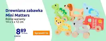 Action Drewniana zabawka Mini Matters oferta