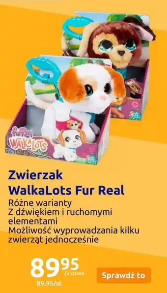 Zwierzak WalkaLots Fur Real
