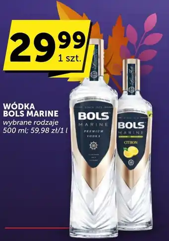 Groszek Wódka oferta