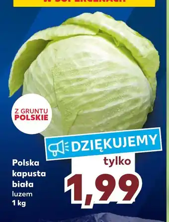 Kaufland Polska kapusta biała 1kg oferta