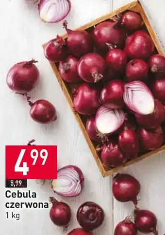 Stokrotka Market Cebula czerwona oferta