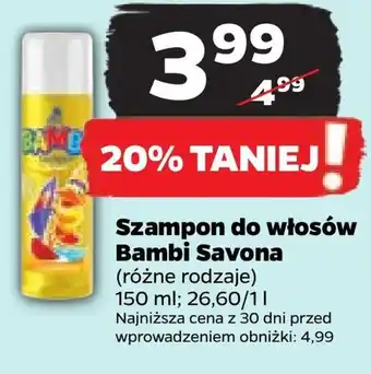 Netto Szampon oferta