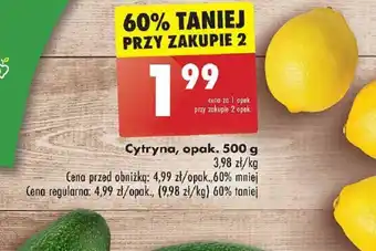 Biedronka Cytryna 500 g oferta