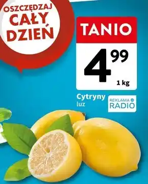 Intermarche Cytryna oferta