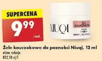 Biedronka Żele kauczokowe do paznokci Niuqi, 12 ml oferta
