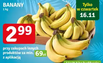 Stokrotka BANANY 1 kg oferta