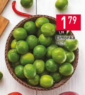 Stokrotka Limonka 1 szt. oferta