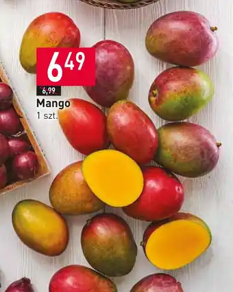 Stokrotka Mango 1 szt. oferta