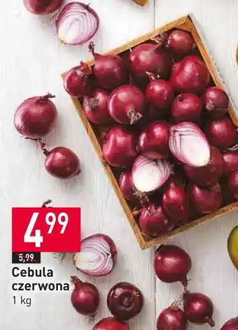 Stokrotka Cebula czerwona 1 kg oferta